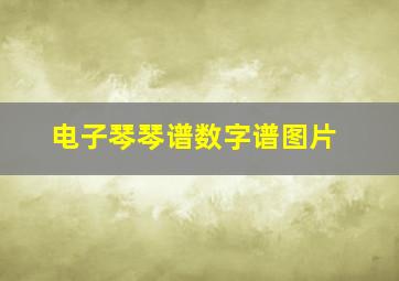 电子琴琴谱数字谱图片