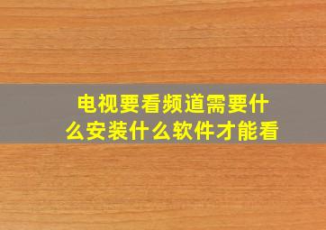 电视要看频道需要什么安装什么软件才能看