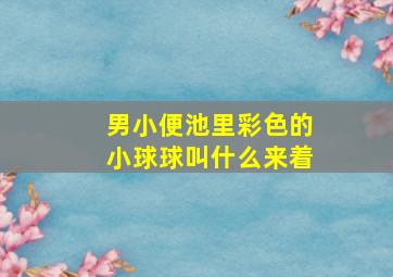 男小便池里彩色的小球球叫什么来着