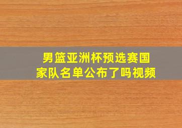 男篮亚洲杯预选赛国家队名单公布了吗视频