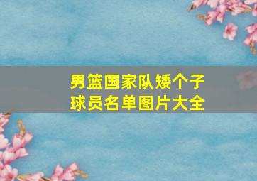 男篮国家队矮个子球员名单图片大全