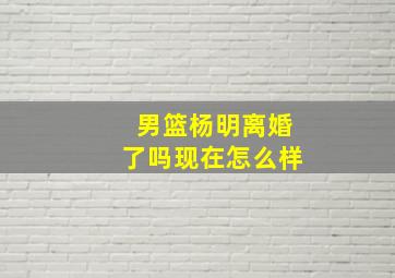 男篮杨明离婚了吗现在怎么样