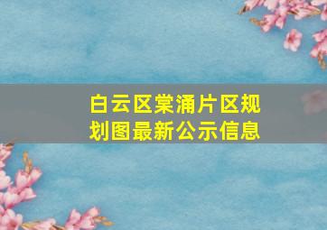 白云区棠涌片区规划图最新公示信息