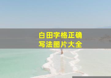 白田字格正确写法图片大全