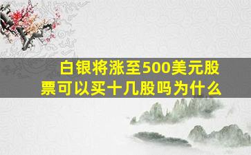 白银将涨至500美元股票可以买十几股吗为什么