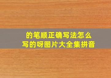 的笔顺正确写法怎么写的呀图片大全集拼音