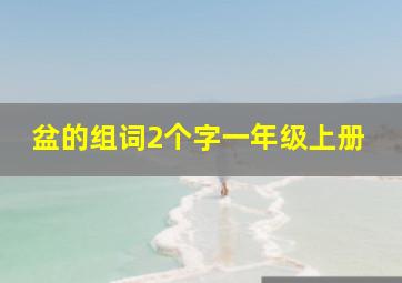 盆的组词2个字一年级上册