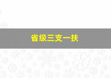 省级三支一扶