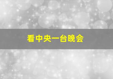 看中央一台晚会