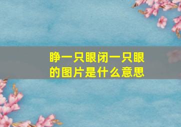 睁一只眼闭一只眼的图片是什么意思