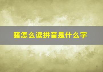 睹怎么读拼音是什么字