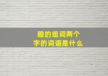 瞪的组词两个字的词语是什么