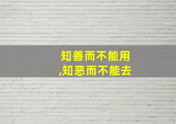 知善而不能用,知恶而不能去