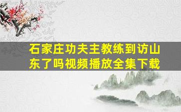 石家庄功夫主教练到访山东了吗视频播放全集下载