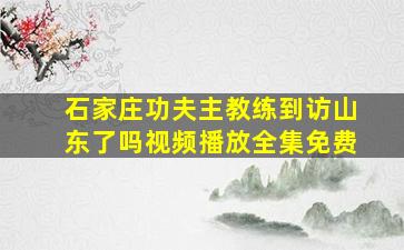 石家庄功夫主教练到访山东了吗视频播放全集免费