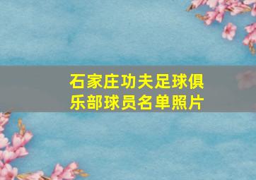 石家庄功夫足球俱乐部球员名单照片