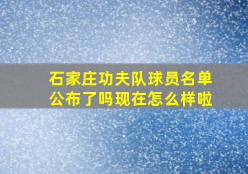 石家庄功夫队球员名单公布了吗现在怎么样啦