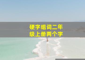 硬字组词二年级上册两个字