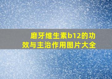 磨牙维生素b12的功效与主治作用图片大全