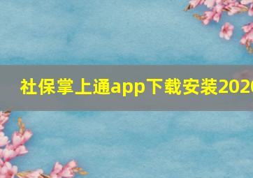 社保掌上通app下载安装2020