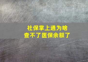 社保掌上通为啥查不了医保余额了