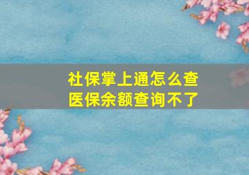 社保掌上通怎么查医保余额查询不了