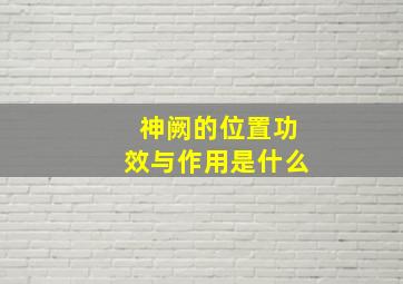 神阙的位置功效与作用是什么