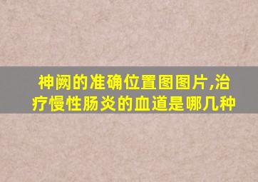 神阙的准确位置图图片,治疗慢性肠炎的血道是哪几种