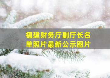 福建财务厅副厅长名单照片最新公示图片