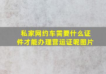 私家网约车需要什么证件才能办理营运证呢图片