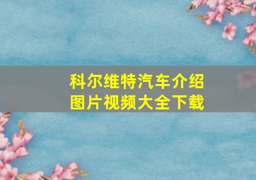 科尔维特汽车介绍图片视频大全下载