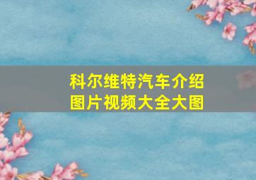 科尔维特汽车介绍图片视频大全大图