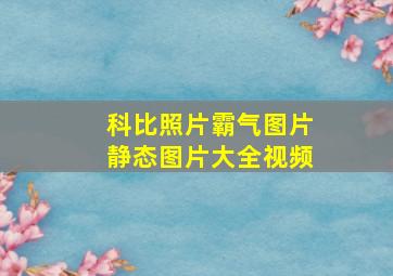 科比照片霸气图片静态图片大全视频