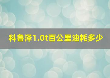 科鲁泽1.0t百公里油耗多少