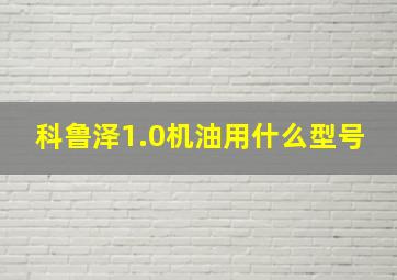 科鲁泽1.0机油用什么型号