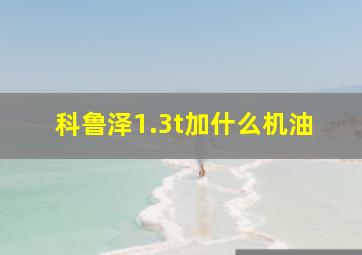 科鲁泽1.3t加什么机油