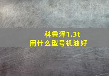 科鲁泽1.3t用什么型号机油好