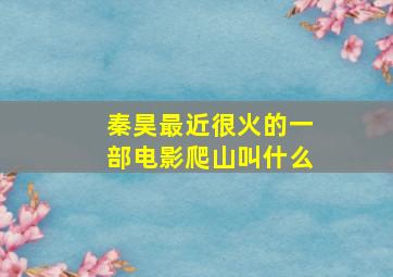 秦昊最近很火的一部电影爬山叫什么