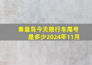 秦皇岛今天限行车尾号是多少2024年11月