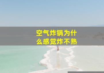 空气炸锅为什么感觉炸不熟