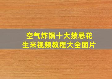 空气炸锅十大禁忌花生米视频教程大全图片