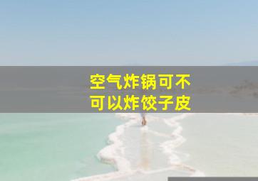 空气炸锅可不可以炸饺子皮