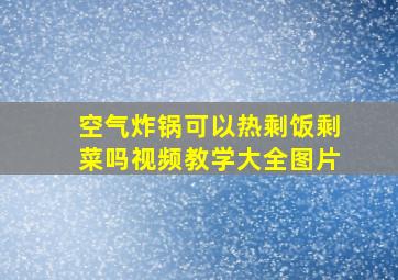 空气炸锅可以热剩饭剩菜吗视频教学大全图片