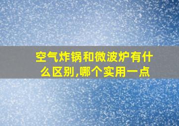 空气炸锅和微波炉有什么区别,哪个实用一点