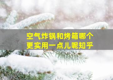 空气炸锅和烤箱哪个更实用一点儿呢知乎