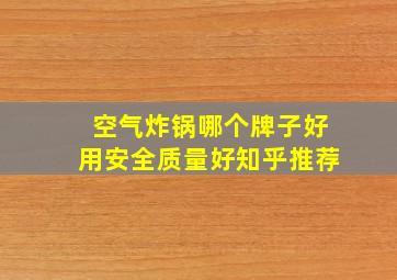 空气炸锅哪个牌子好用安全质量好知乎推荐