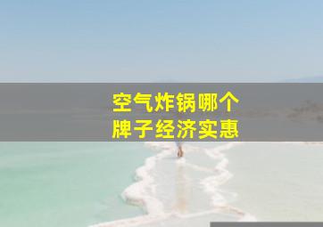 空气炸锅哪个牌子经济实惠