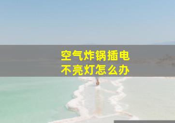 空气炸锅插电不亮灯怎么办