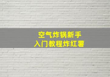 空气炸锅新手入门教程炸红薯