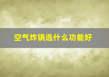 空气炸锅选什么功能好